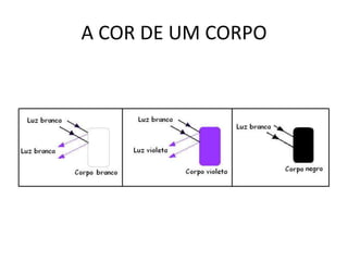 A COR DE UM CORPO

 