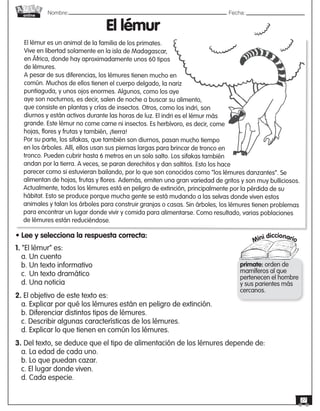 Nombre: 	Fecha:online
27
El lémur es un animal de la familia de los primates.
Vive en libertad solamente en la isla de Madagascar,
en África, donde hay aproximadamente unos 60 tipos
de lémures.
A pesar de sus diferencias, los lémures tienen mucho en
común. Muchos de ellos tienen el cuerpo delgado, la nariz
puntiaguda, y unos ojos enormes. Algunos, como los aye
aye son nocturnos, es decir, salen de noche a buscar su alimento,
que consiste en plantas y crías de insectos. Otros, como los indri, son
diurnos y están activos durante las horas de luz. El indri es el lémur más
grande. Este lémur no come carne ni insectos. Es herbívoro, es decir, come
hojas, flores y frutas y también, ¡tierra!
Por su parte, los sifakas, que también son diurnos, pasan mucho tiempo
en los árboles. Allí, ellos usan sus piernas largas para brincar de tronco en
tronco. Pueden cubrir hasta 6 metros en un solo salto. Los sifakas también
andan por la tierra. A veces, se paran derechitos y dan saltitos. Esto los hace
parecer como si estuvieran bailando, por lo que son conocidos como “los lémures danzantes”. Se
alimentan de hojas, frutas y flores. Además, emiten una gran variedad de gritos y son muy bulliciosos.
Actualmente, todos los lémures está en peligro de extinción, principalmente por la pérdida de su
hábitat. Esto se produce porque mucha gente se está mudando a las selvas donde viven estos
animales y talan los árboles para construir granjas o casas. Sin árboles, los lémures tienen problemas
para encontrar un lugar donde vivir y comida para alimentarse. Como resultado, varias poblaciones
de lémures están reduciéndose.
El lémur
Mini diccionario
primate: orden de
mamíferos al que
pertenecen el hombre
y sus parientes más
cercanos.
• Lee y selecciona la respuesta correcta:
1. “El lémur” es:
a. Un cuento
b. Un texto informativo
c.	Un texto dramático
d. Una noticia
2. El objetivo de este texto es:
a. Explicar por qué los lémures están en peligro de extinción.
b. Diferenciar distintos tipos de lémures.
c. Describir algunas características de los lémures.
d. Explicar lo que tienen en común los lémures.
3. Del texto, se deduce que el tipo de alimentación de los lémures depende de:
a. La edad de cada uno.
b. Lo que puedan cazar.
c. El lugar donde viven.
d. Cada especie.
 