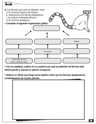 Nombre: 	Fecha:online
28
4. Los lémures que viven en libertad, viven:
a. En muchos lugares del mundo.
b. Solamente en la isla de Madagascar.
c. En todo el continente africano.
d. En muchos zoológicos.
• Completa el siguiente organizador gráfico:
Nocturnos
Sifakas
come hojas, flores y
frutas y también, tierra.
• Con tus palabras, explica en tu cuaderno por qué la población de lémures está
disminuyendo y expresa tu opinión al respecto.
• Elabora un afiche que tenga como objetivo evitar que los lémures desaparezcan
completamente de nuestro planeta.
 