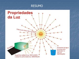 RESUMO
 