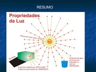 RESUMO
 
