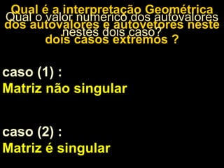 Qual é a interpretação Geométrica dos autovalores e autovetores neste dois casos extremos ? Qual o valor numérico dos autovalores nestes dois caso? caso (1)   : Matriz não singular  caso (2) :  Matriz é singular 