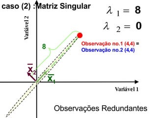 Variável 1 Variável 2 Observação no.1 (4,4)  = Observação no.2 (4,4) 8 Observações Redundantes caso (2) :Matriz Singular  caso (2) :Matriz Singular  x 1 x 2 