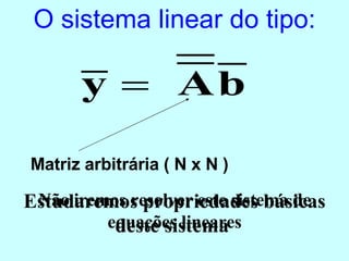 O sistema linear do tipo: Matriz arbitrária ( N x N ) Não iremos resolver este sistema de equações lineares Estudaremos propriedades básicas deste sistema  
