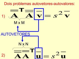 Dois problemas autovetores-autovalores: AUTOVETORES M x M N x N 1) 2) 