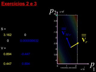 Exercícios 2 e 3   x 10 5 x 10 5 0 1 2 -4 -3.5 -3 -2.5 -2 -1.5 -1 -0.5 0 FUNCIONAL DOS DADOS 1 p V = 0.894   -0.447 0.447    0.894 S = 3.162  0 0 0.000000632 * 2 p r V M-r V 