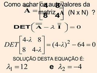 SOLUÇÃO DESTA EQUAÇÃO É: Como achar os autovalores da matriz A (N x N)  ? 