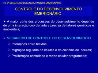 4ª a 8ª SEMANA DO DESENVOLVIMENTO EMBRIONÁRIO


         CONTROLE DO DESENVOLVIMENTO
                EMBRIONÁRIO
 A maior parte dos processos do desenvolvimento depende
de uma interação coordenada e precisa de fatores genéticos e
ambientais;

 MECANISMO DE CONTROLE DO DESENVOLVIMENTO
     Interações entre tecidos;
     Migração regulada de células e de colônias de células;
     Proliferação controlada e morte celular programada;
 
