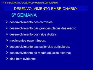 4ª a 8ª SEMANA DO DESENVOLVIMENTO EMBRIONÁRIO


         DESENVOLVIMENTO EMBRIONÁRIO
       6ª SEMANA
   desenvolvimento dos cotovelos;
   desenvolvimento das grandes placas das mãos;
   desenvolvimento dos raios digitais;
   movimentos espontâneos;
   desenvolvimento das saliências auriculares;
   desenvolvimento do meato acústico externo;
   olho bem evidente;
 
