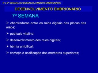 4ª a 8ª SEMANA DO DESENVOLVIMENTO EMBRIONÁRIO


         DESENVOLVIMENTO EMBRIONÁRIO
       7ª SEMANA
   chanfraduras entre os raios digitais das placas das
  mãos;
   pedículo vitelino;
   desenvolvimento dos raios digitais;
   hérnia umbilical;
   começa a ossificação dos membros superiores;
 