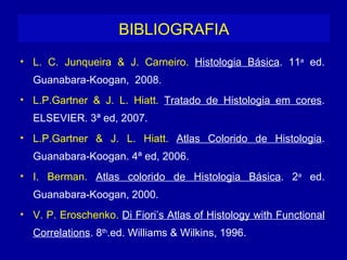 BIBLIOGRAFIA
• L. C. Junqueira & J. Carneiro. Histologia Básica. 11a ed.
  Guanabara-Koogan, 2008.
• L.P.Gartner & J. L. Hiatt. Tratado de Histologia em cores.
  ELSEVIER. 3ª ed, 2007.
• L.P.Gartner & J. L. Hiatt. Atlas Colorido de Histologia.
  Guanabara-Koogan. 4ª ed, 2006.
• I. Berman. Atlas colorido de Histologia Básica. 2a ed.
  Guanabara-Koogan, 2000.
• V. P. Eroschenko. Di Fiori’s Atlas of Histology with Functional
  Correlations. 8th.ed. Williams & Wilkins, 1996.
 