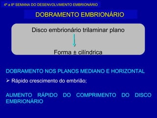 4ª a 8ª SEMANA DO DESENVOLVIMENTO EMBRIONÁRIO


               DOBRAMENTO EMBRIONÁRIO

             Disco embrionário trilaminar plano


                       Forma ± cilíndrica


DOBRAMENTO NOS PLANOS MEDIANO E HORIZONTAL
 Rápido crescimento do embrião;

AUMENTO RÁPIDO              DO    COMPRIMENTO   DO   DISCO
EMBRIONÁRIO
 
