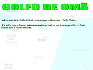 • A importância do Golfo de Omã reside na proximidade com o Golfo Pérsico.
• É a saída para o Oceano Índico dos navios petroleiros que levam o petróleo do Golfo
Pérsico para o resto do Mundo.
 