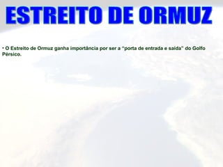 • O Estreito de Ormuz ganha importância por ser a “porta de entrada e saída” do Golfo
Pérsico.
 