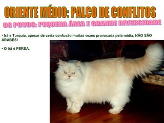 • Irã e Turquia, apesar de certa confusão muitas vezes provocada pela mídia, NÃO SÃO 
ÁRABES! 
• O Irã é PERSA. 
 