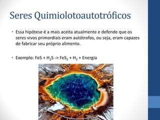 Seres Quimiolotoautotróficos
• Essa hipótese é a mais aceita atualmente e defende que os
seres vivos primordiais eram autótrofos, ou seja, eram capazes
de fabricar seu próprio alimento.
• Exemplo: FeS + H2S -> FeS2 + H2 + Energia
 