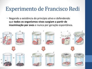 Experimento de Francisco Redi
• Negando a existência do princípio ativo e defendendo
que todos os organismos vivos surgiam a partir de
inseminação por ovos e nunca por geração espontânea.
 