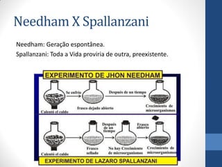 Needham X Spallanzani
Needham: Geração espontânea.
Spallanzani: Toda a Vida proviria de outra, preexistente.
 