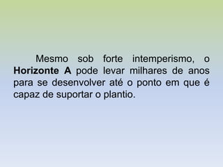 Mesmo sob forte intemperismo, o
Horizonte A pode levar milhares de anos
para se desenvolver até o ponto em que é
capaz de suportar o plantio.
 