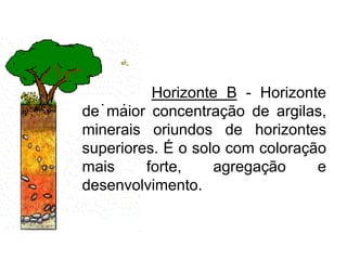 Horizonte B - Horizonte
de maior concentração de argilas,
minerais oriundos de horizontes
superiores. É o solo com coloração
mais forte, agregação e
desenvolvimento.
 
