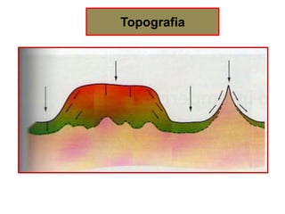 Topografia
 