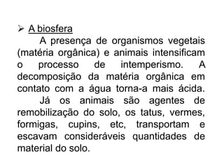 A biosfera
A presença de organismos vegetais
(matéria orgânica) e animais intensificam
o processo de intemperismo. A
decomposição da matéria orgânica em
contato com a água torna-a mais ácida.
Já os animais são agentes de
remobilização do solo, os tatus, vermes,
formigas, cupins, etc, transportam e
escavam consideráveis quantidades de
material do solo.
 