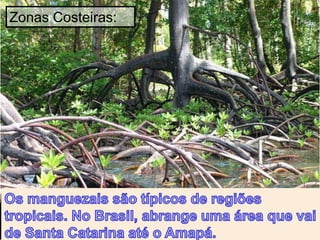 Zonas Costeiras:
 