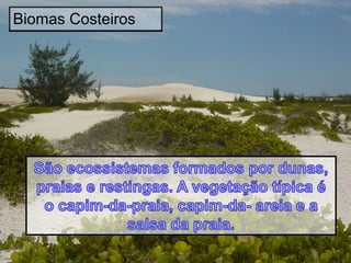Biomas Costeiros
 