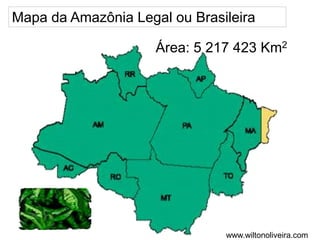 Mapa da Amazônia Legal ou Brasileira
Área: 5 217 423 Km2
www.wiltonoliveira.com
 