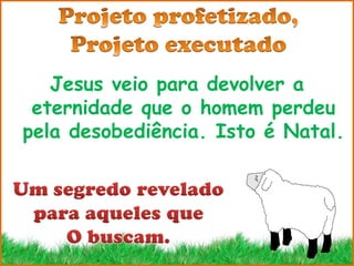 Jesus veio para devolver a
 eternidade que o homem perdeu
pela desobediência. Isto é Natal.
 