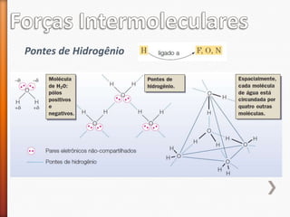 Pontes de Hidrogênio

 