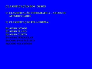 CLASSIFICAÇÃO DOS  OSSOS CLASSIFICAÇÃO TOPOGRÁFICA – AXIAIS OU APENDICULARES CLASSIFICAÇÃO PELA FORMA:  B1) OSSO LONGO B2) OSSO PLANO B3) OSSO CURTO B4) OSSO IRREGULAR B5)OSSO PNEUMÁTICO B6)OSSO SESAMÓIDE 