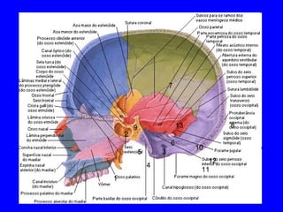 1 2 3 4 5 6 7 8 9 10 11 12 13 