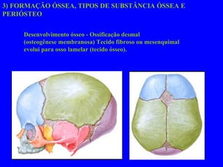 Desenvolvimento ósseo - Ossificação desmal  (osteogênese membranosa) Tecido fibroso ou mesenquimal  evolui para osso lamelar (tecido ósseo). 3) FORMAÇÃO ÓSSEA, TIPOS DE SUBSTÂNCIA ÓSSEA E  PERIÓSTEO 