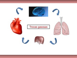 Trocas gasosas
 