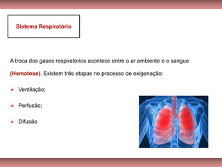 A troca dos gases respiratórios acontece entre o ar ambiente e o sangue
(Hematose). Existem três etapas no processo de oxigenação:
➢ Ventilação;
➢ Perfusão;
➢ Difusão
Sistema Respiratório
 