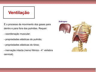 É o processo de movimento dos gases para
dentro e para fora dos pulmões. Requer:
- coordenação muscular;
- propriedades elásticas do pulmão;
- propriedades elásticas do tórax;
- inervação intacta (nervo frênico - 4° vértebra
cervical).
Ventilação
 