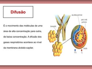 É o movimento das moléculas de uma
área de alta concentração para outra,
de baixa concentração. A difusão dos
gases respiratórios acontece ao nível
da membrana alvéolo-capilar.
Difusão
 