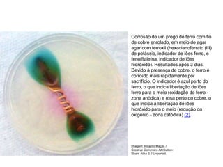 QUÍMICA, 3ª ANO
Oxirredução (Regras do Nox)
Corrosão de um prego de ferro com fio
de cobre enrolado, em meio de agar
agar com ferroxil (hexacianoferrato (III)
de potássio, indicador de iões ferro, e
fenolftaleína, indicador de iões
hidróxido). Resultados após 3 dias.
Devido à presença de cobre, o ferro é
corroído mais rapidamente por
sacrifício. O indicador é azul perto do
ferro, o que indica libertação de iões
ferro para o meio (oxidação do ferro -
zona anódica) e rosa perto do cobre, o
que indica a libertação de iões
hidróxido para o meio (redução do
oxigénio - zona catódica) (2).
Imagem: Ricardo Maçãs /
Creative Commons Attribution-
Share Alike 3.0 Unported.
 