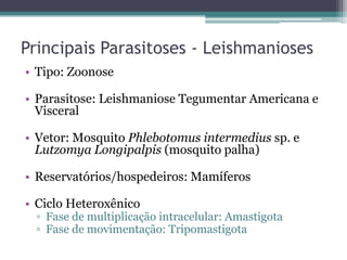 Principais Parasitoses - Leishmanioses
• Tipo: Zoonose

• Parasitose: Leishmaniose Tegumentar Americana e
  Visceral

• Vetor: Mosquito Phlebotomus intermedius sp. e
  Lutzomya Longipalpis (mosquito palha)

• Reservatórios/hospedeiros: Mamíferos

• Ciclo Heteroxênico
  ▫ Fase de multiplicação intracelular: Amastigota
  ▫ Fase de movimentação: Tripomastigota
 