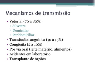 Mecanismos de transmissão
• Vetorial (70 a 80%)
    ▫ Silvestre
    ▫ Domiciliar
    ▫ Peridomiciliar
•   Transfusão sanguínea (10 a 15%)
•   Congênita (2 a 10%)
•   Por via oral (leite materno, alimentos)
•   Acidentes em laboratório
•   Transplante de órgãos
 