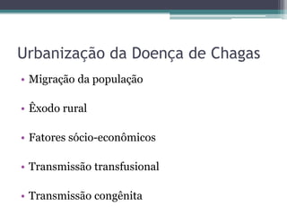 Urbanização da Doença de Chagas
• Migração da população

• Êxodo rural

• Fatores sócio-econômicos

• Transmissão transfusional

• Transmissão congênita
 