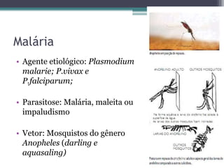 Malária
• Agente etiológico: Plasmodium
  malarie; P.vivax e
  P.falciparum;

• Parasitose: Malária, maleita ou
  impaludismo

• Vetor: Mosquistos do gênero
  Anopheles (darling e
  aquasaling)
 