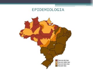 EPIDEMIOLOGIA
 