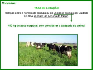 Conceitos:
TAXA DE LOTAÇÃO
Relação entre o número de animais ou de unidades animais por unidade
de área, durante um período de tempo.
450 kg de peso corporal, sem considerar a categoria do animal
 