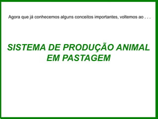 SISTEMA DE PRODUÇÃO ANIMAL
EM PASTAGEM
Agora que já conhecemos alguns conceitos importantes, voltemos ao . . .
 