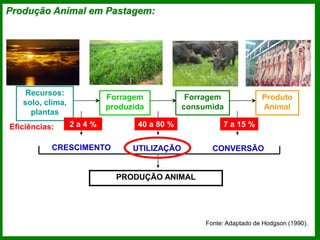 Produção Animal em Pastagem:
Forragem
produzida
Recursos:
solo, clima,
plantas
CRESCIMENTO
Forragem
consumida
UTILIZAÇÃO
Produto
Animal
CONVERSÃO
PRODUÇÃO ANIMAL
Fonte: Adaptado de Hodgson (1990).
2 a 4 % 40 a 80 % 7 a 15 %
Eficiências:
 