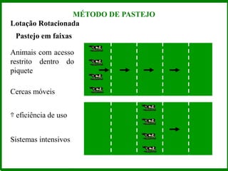 Lotação Rotacionada
Pastejo em faixas
Animais com acesso
restrito dentro do
piquete
Cercas móveis
⇑ eficiência de uso
Sistemas intensivos
MÉTODO DE PASTEJO
 