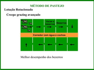 Lotação Rotacionada
Creepe grazing avançado
Corredor com água e cochos
Vacas e
bezerros
Bezerros
Melhor desempenho dos bezerros
MÉTODO DE PASTEJO
 
