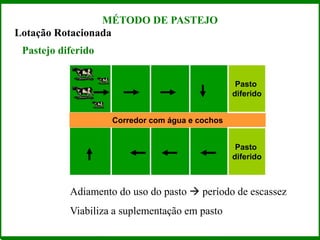 Lotação Rotacionada
Pastejo diferido
Corredor com água e cochos
Pasto
diferido
Pasto
diferido
Adiamento do uso do pasto  período de escassez
Viabiliza a suplementação em pasto
MÉTODO DE PASTEJO
 